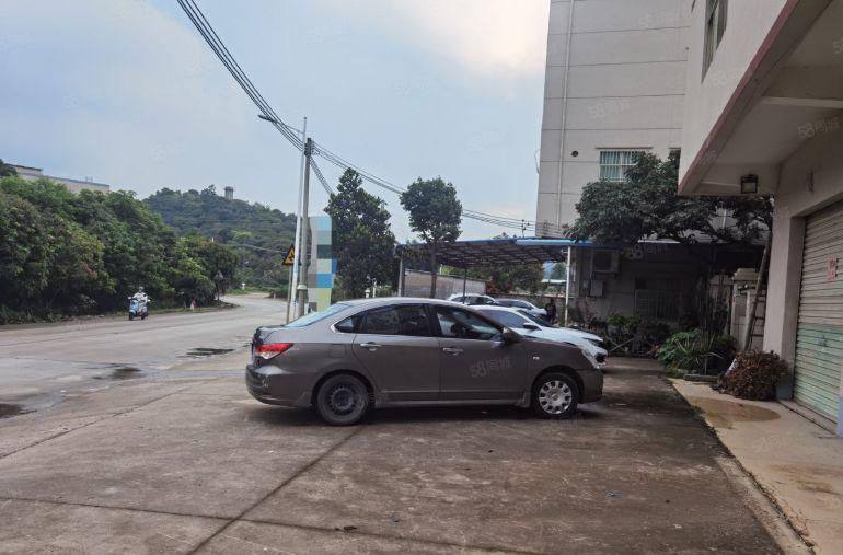 整栋出租，实际面积450平，三相电，靠大路边