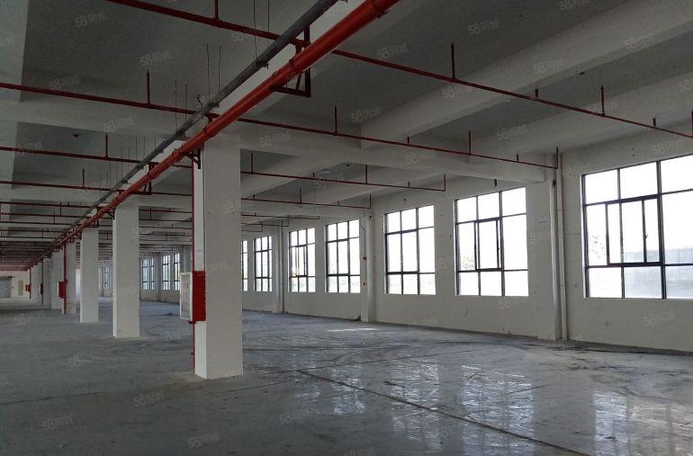 惠州大亚湾比亚迪旁全新厂房特价11元平招租