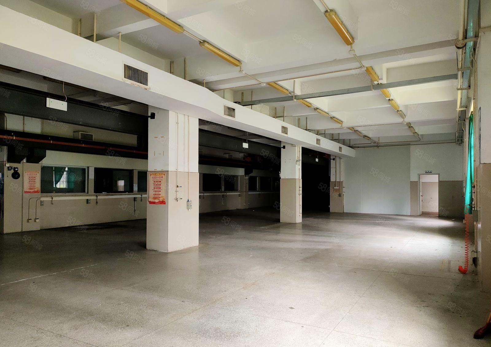 带装修800平起分租 一楼带行车 园区分租 形象好靠近高速