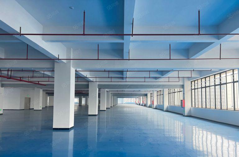 6元钱特价带地坪漆大小可分形象好原房东2000平厂房出租