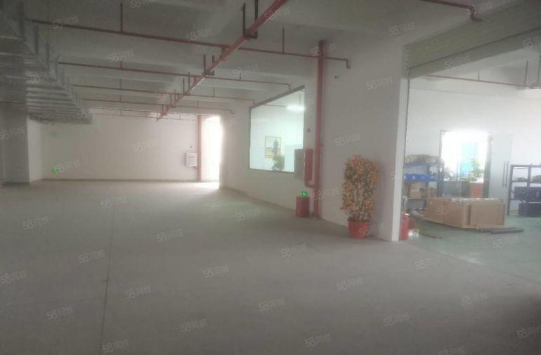 大亚湾临深 全新厂房低价出租 200平起租 空地大 齐全