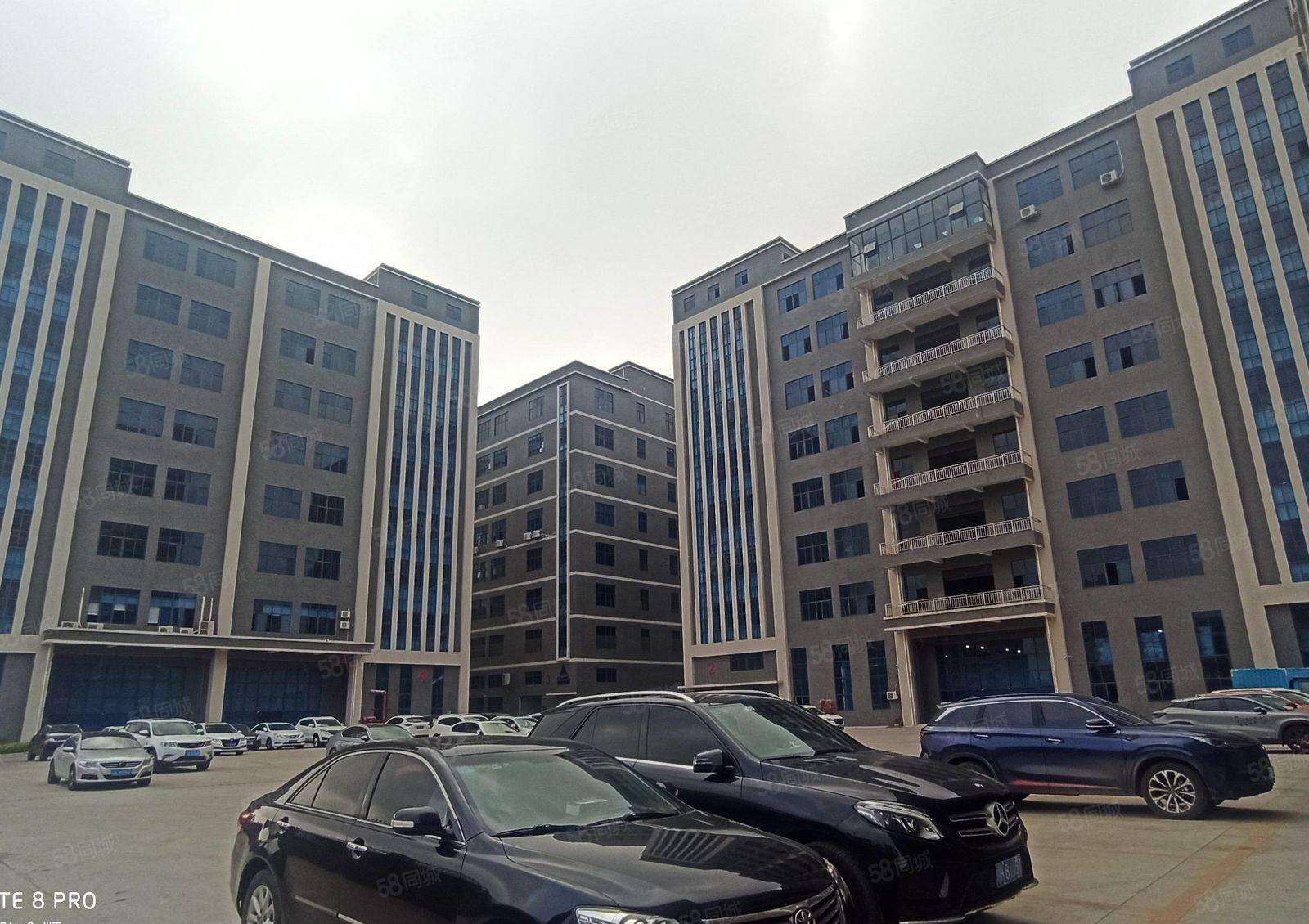 大亚湾2万平全新红本厂房出租，500平起分