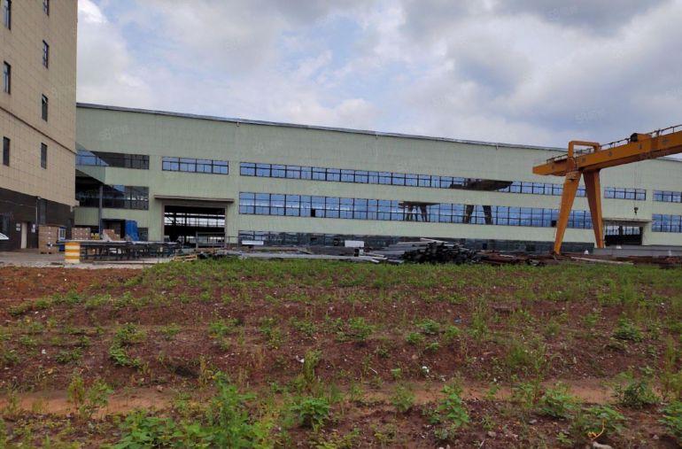 惠州市惠阳区16000平红本钢结构厂房出租滴水8米可分租