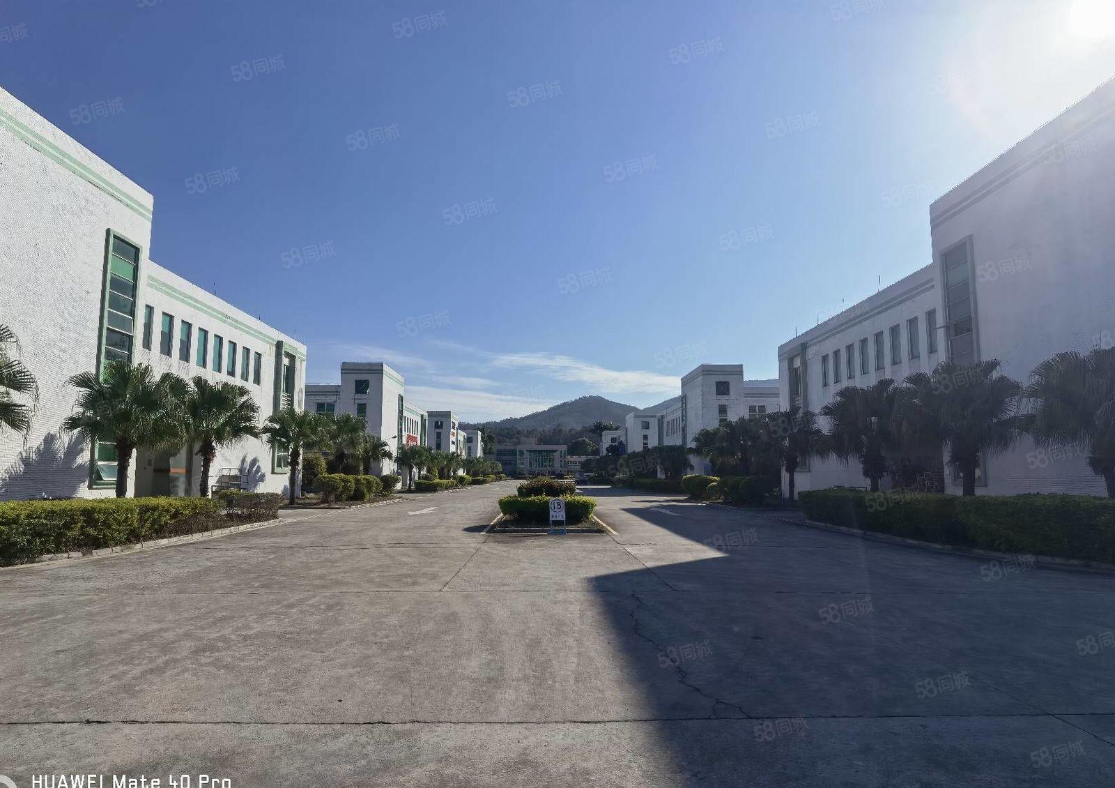 （超长免租期）整层1000平原房东厂房出租，证件齐全