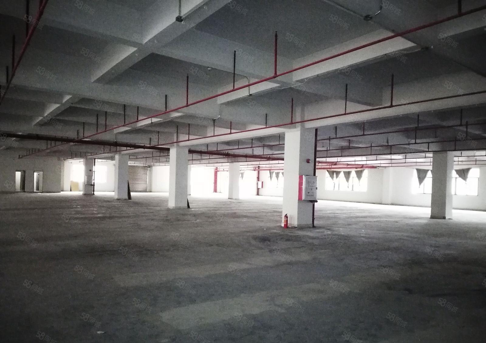 惠阳龙光城临深6500厂房招租（可分租）