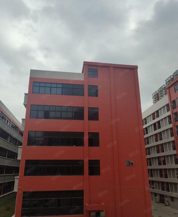 7块大亚湾西区楼上5楼厂房仓库1000起租