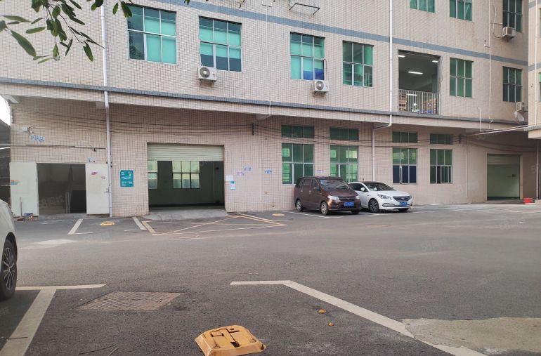 惠州市大亚湾西区工业区1楼520平米，标准厂房出租，层高6米