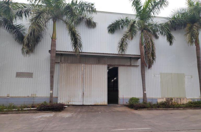 大亚湾4060平方米单一层厂房出租，丙二类消防，高度10米