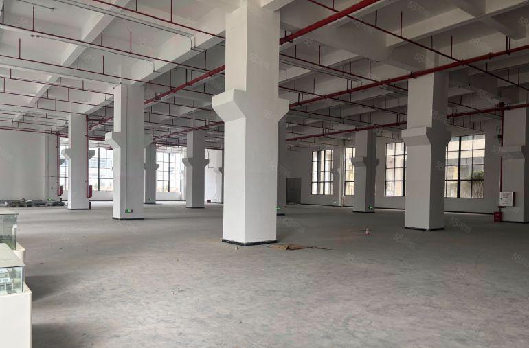 临深全新低价9元5000平厂房仓库出租带牛角位带卸货平台。。