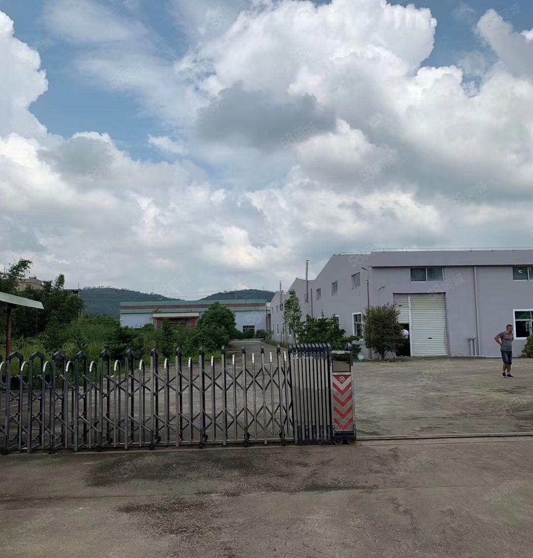 大亚湾原房东5000平米钢构厂房招租