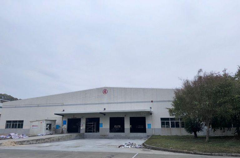 大亚湾西区新出6000平独栋钢构原房东实际面积出租价格美丽！