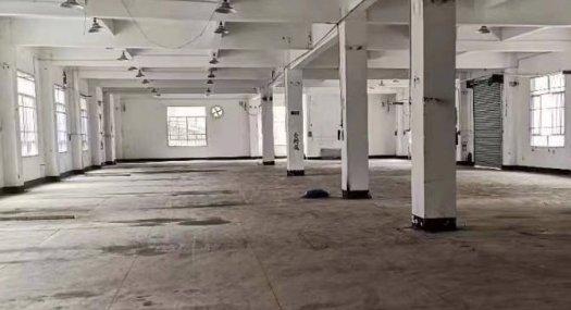 惠州惠阳 4000㎡ 厂房租售层高5米 配电200KVA 独院 可环评 可分租