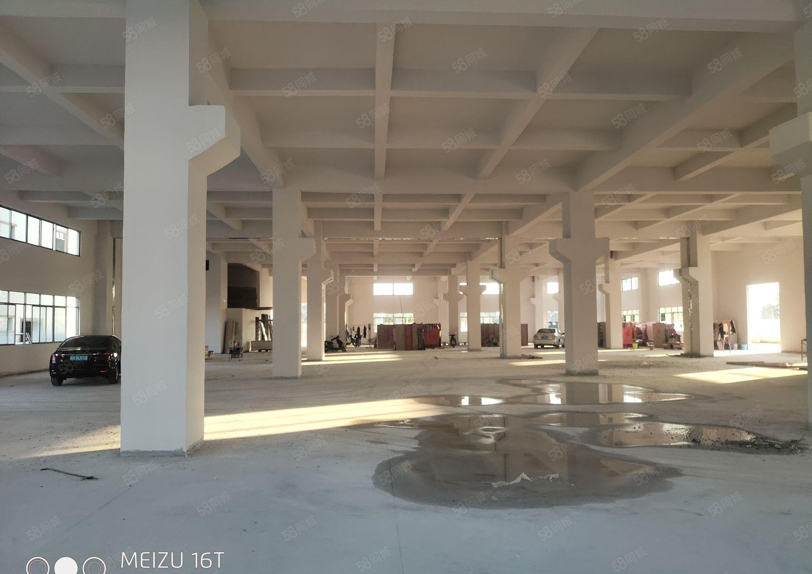 惠州市石湾镇科技园原房东全新标准独院厂房出租空地大