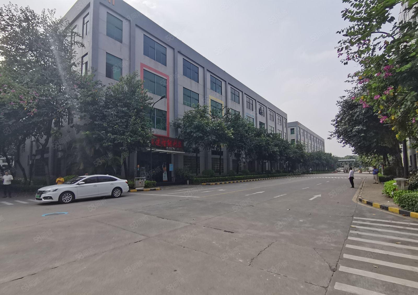 博罗龙溪厦寮工业园标准厂房出租1000平带装修