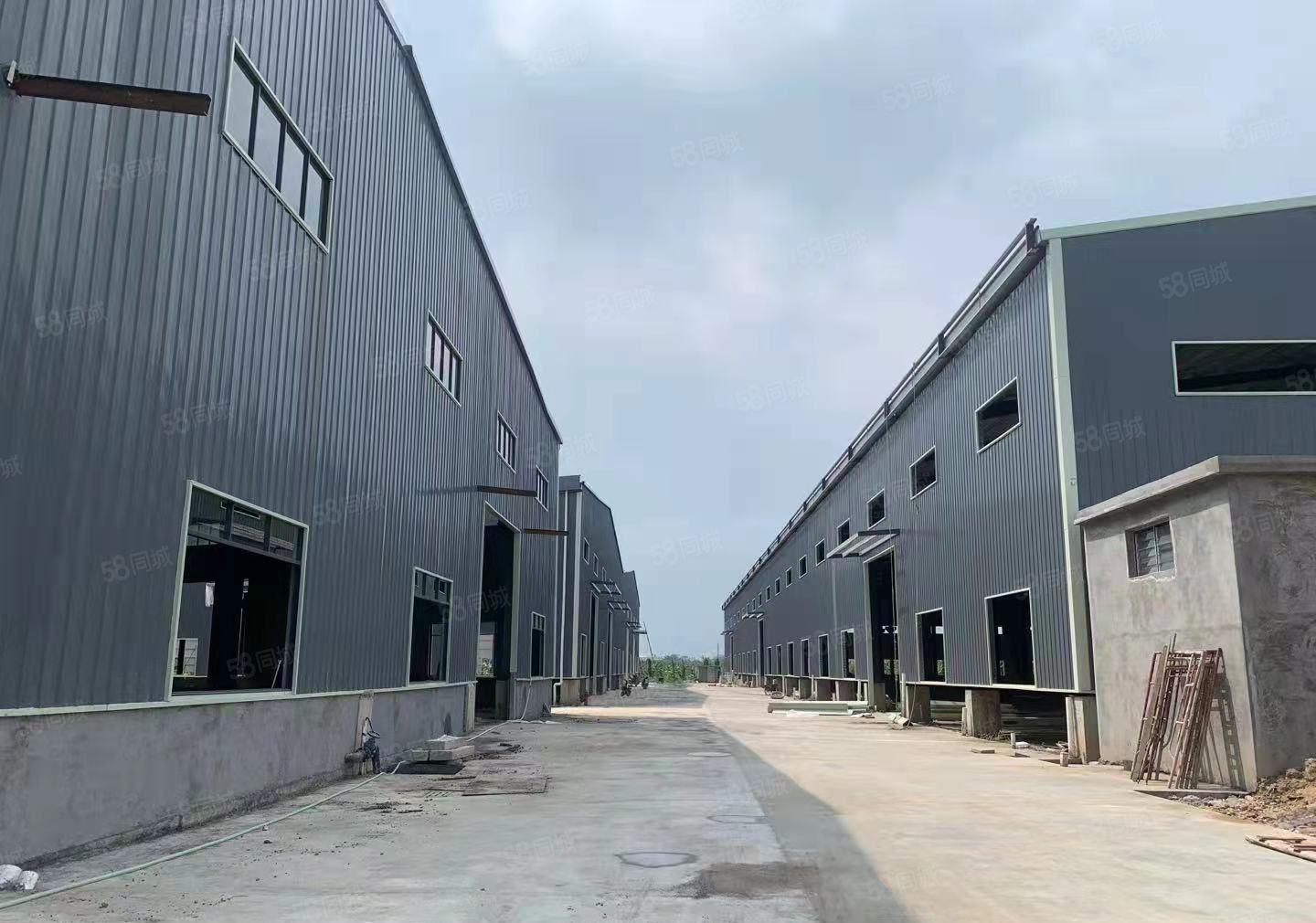 园洲全新滴水10米单一层厂房出租，共48600平方，证件齐全