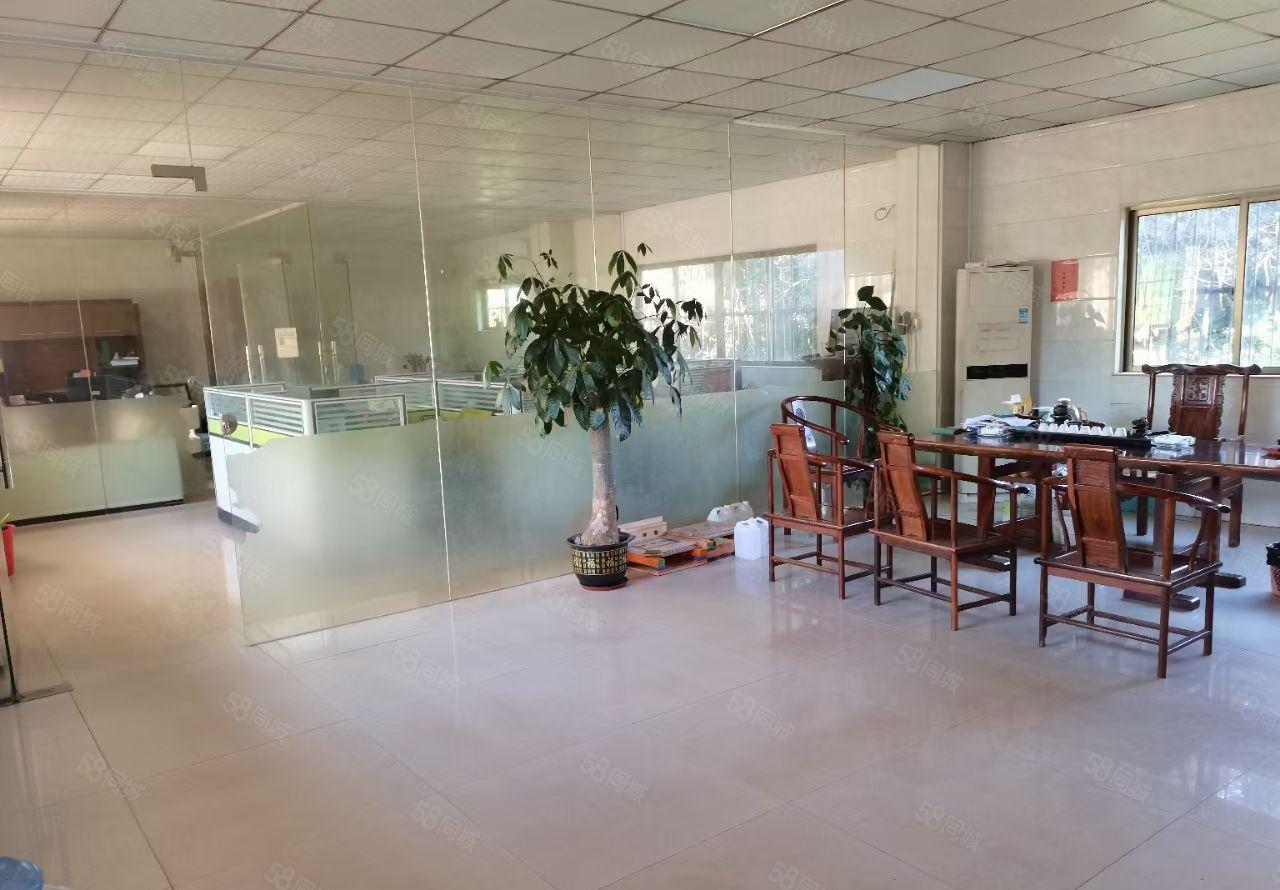 园洲镇花园式独院厂房出租4500平方，家电齐全，豪华装修。