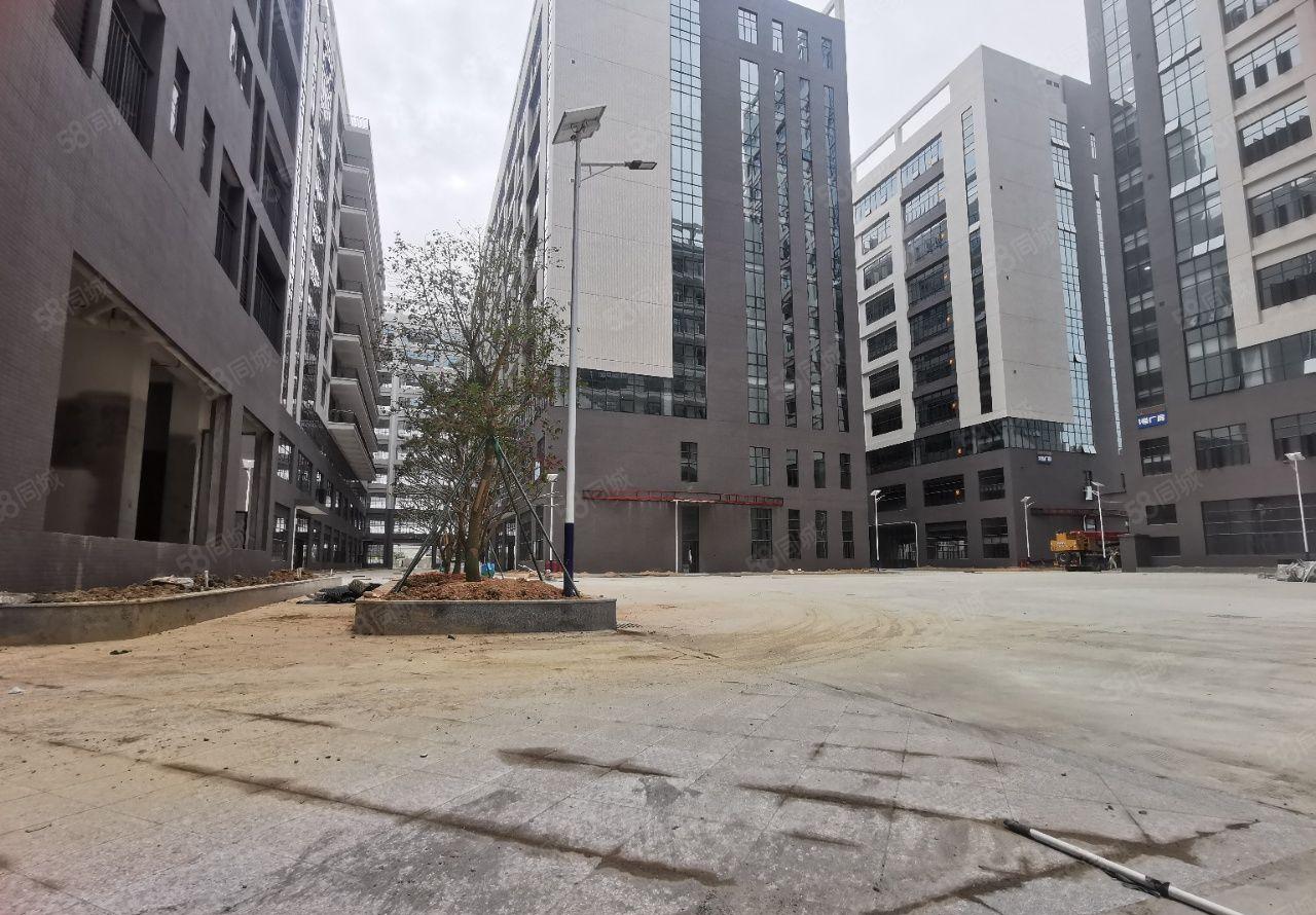 龙溪镇周边都是大型工业园 上市工业区，原房东一手招租