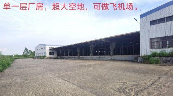 园洲原房东独门独院标准厂房出租