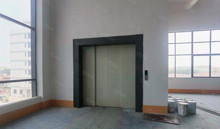 博罗县园洲镇全新原房东重工业厂房低价出租