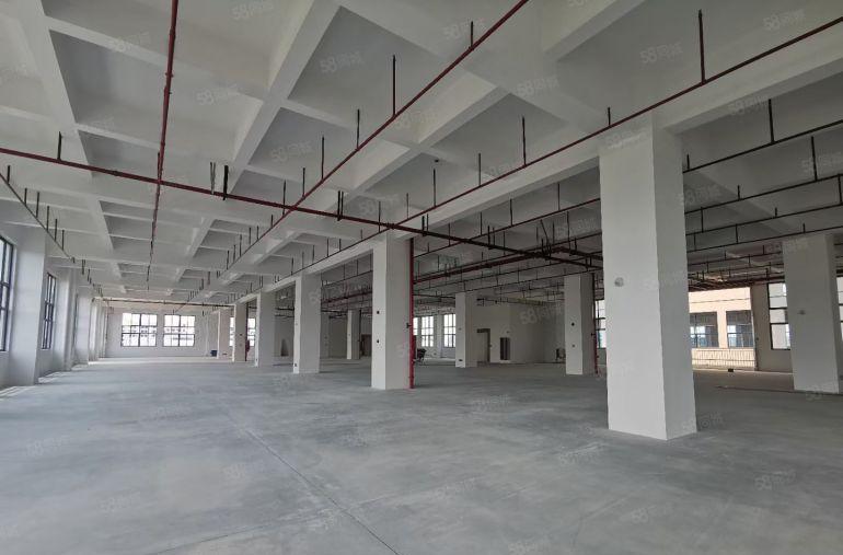 原房东工业园区红本独门独院标准厂房