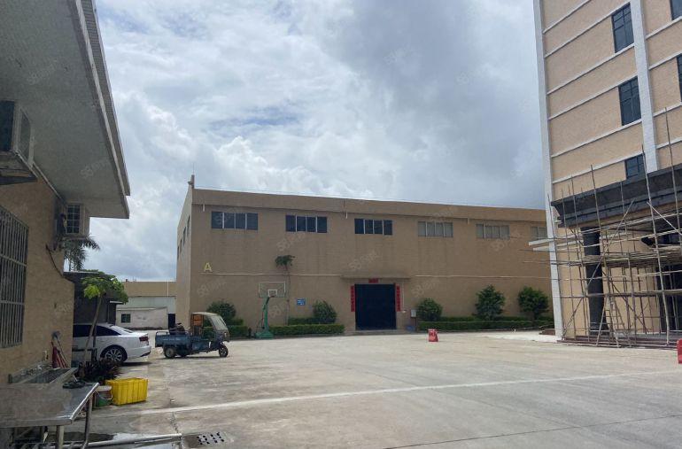 园洲镇原房东工业园区砖墙到顶滴水12米带5吨行车6000平