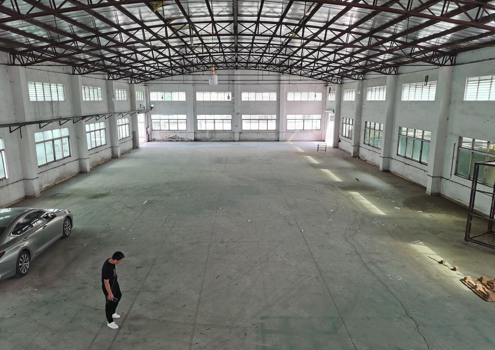 石湾镇科技园独立1000平方厂房出租