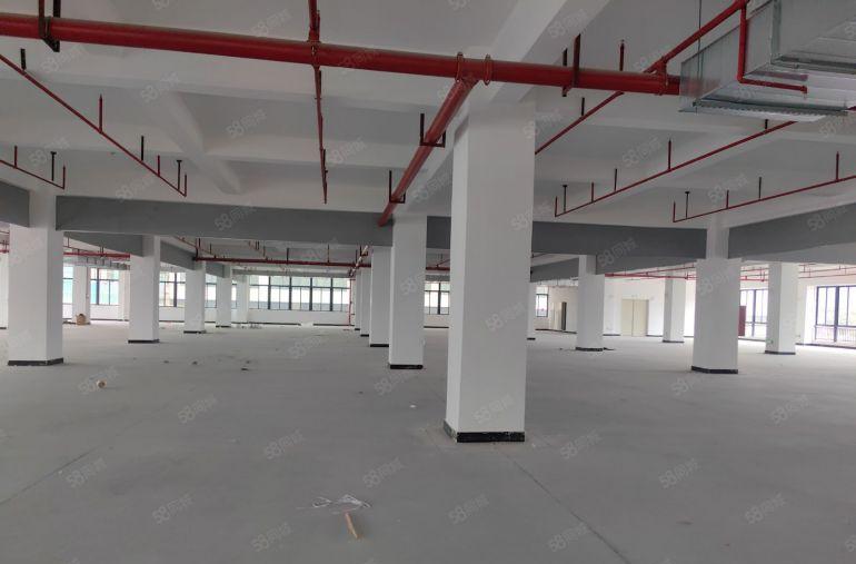 龙溪电镀基地边全新厂房 四面采光 前后租遮挡 门前有大空地