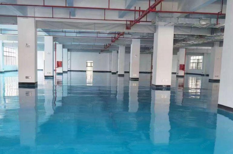 龙溪电镀基地边 全新带装修 高层高厂房出租 大空地 卸货方便