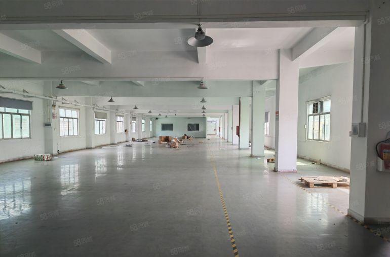 园洲独门独院标准单一层厂房9300平，价格便宜，豪华装修