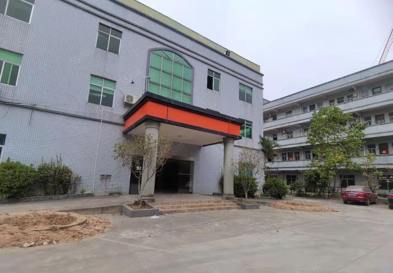 龙溪龙桥大道单一层加标准厂房24500平方出租