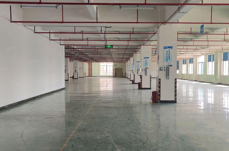 独门独院红本标准厂房