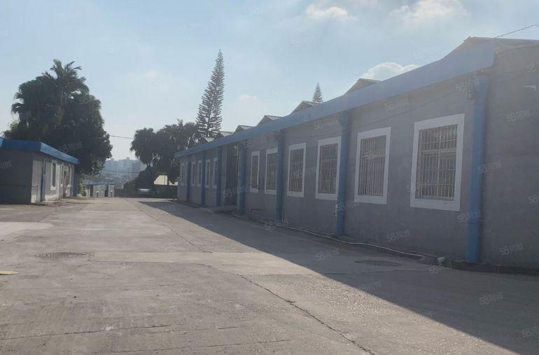 博罗园州1000平原房东红本独院钢构厂房仓库出租大小可分租