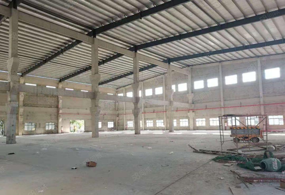 园洲工业区独院单一层滴水9米厂房出租