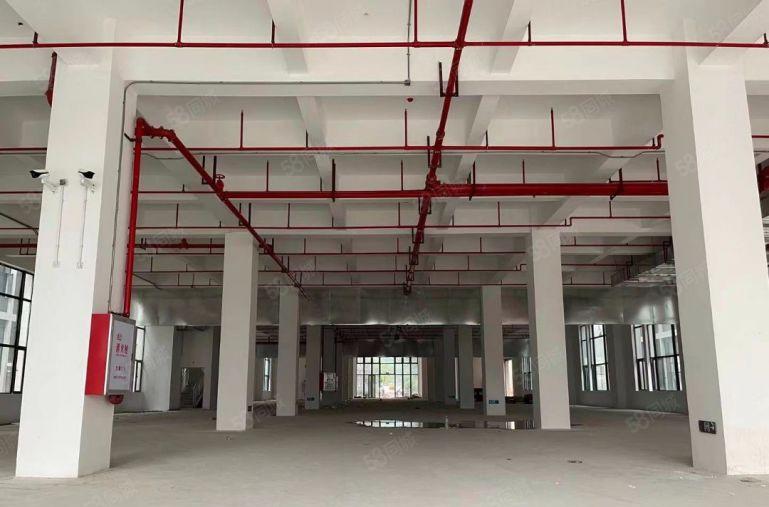 上市公司形象独门独院工业园厂房200000方形象好配套齐全