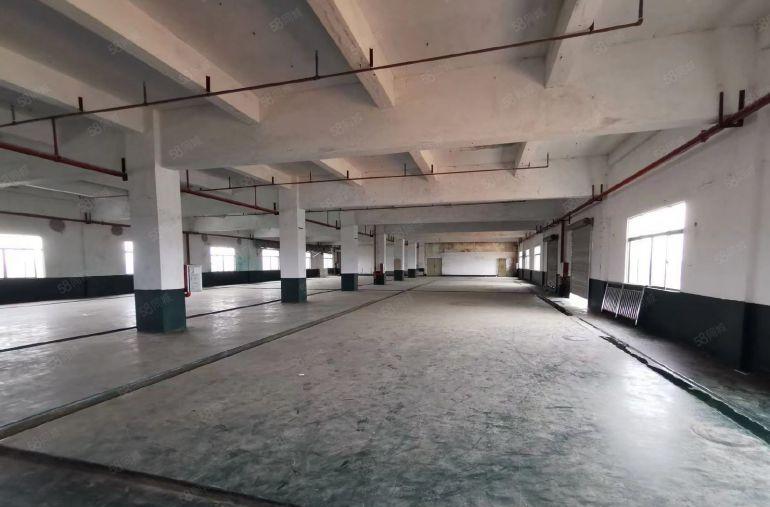 园洲全新厂房1500平起租出租 南北通透 采光好