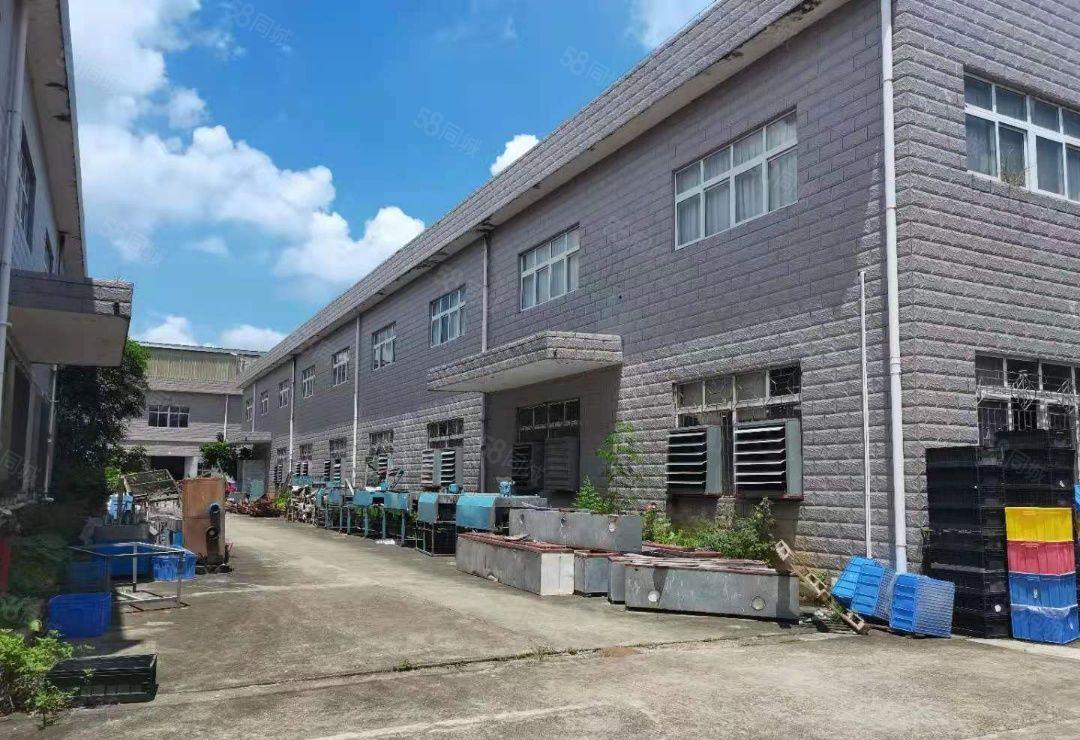 龙溪街道一手房东招租7米高水泥结构厂房4550平方单一层