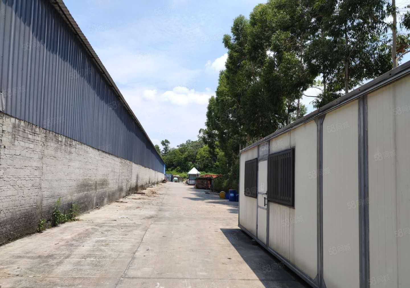 圆洲单一层滴水10米钢构厂房出租9000平2000平起分