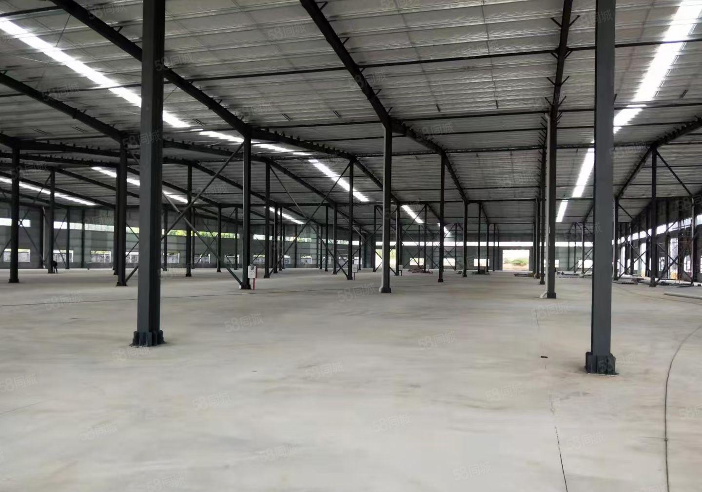 龙溪街道单一层钢结构厂房面积6000高度10米大小可分租