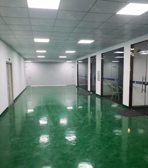 博罗罗阳现成无尘车间厂房3100平方便宜出租