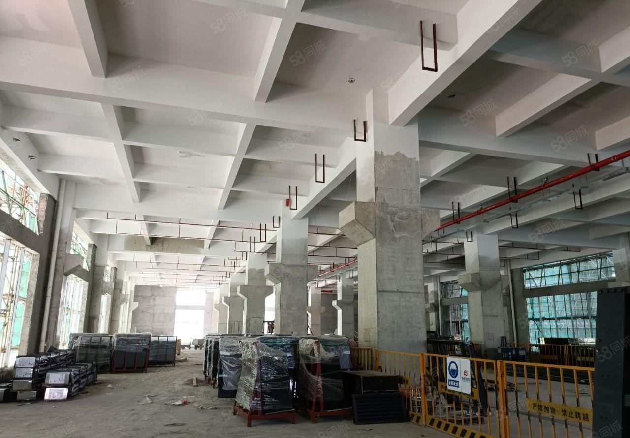 罗阳镇标准楼房红本厂房8块钱出租可整租可分租 原房东招租