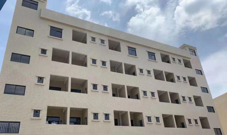 博罗县园洲镇原房东超高标准全新单一层独院厂房出租！