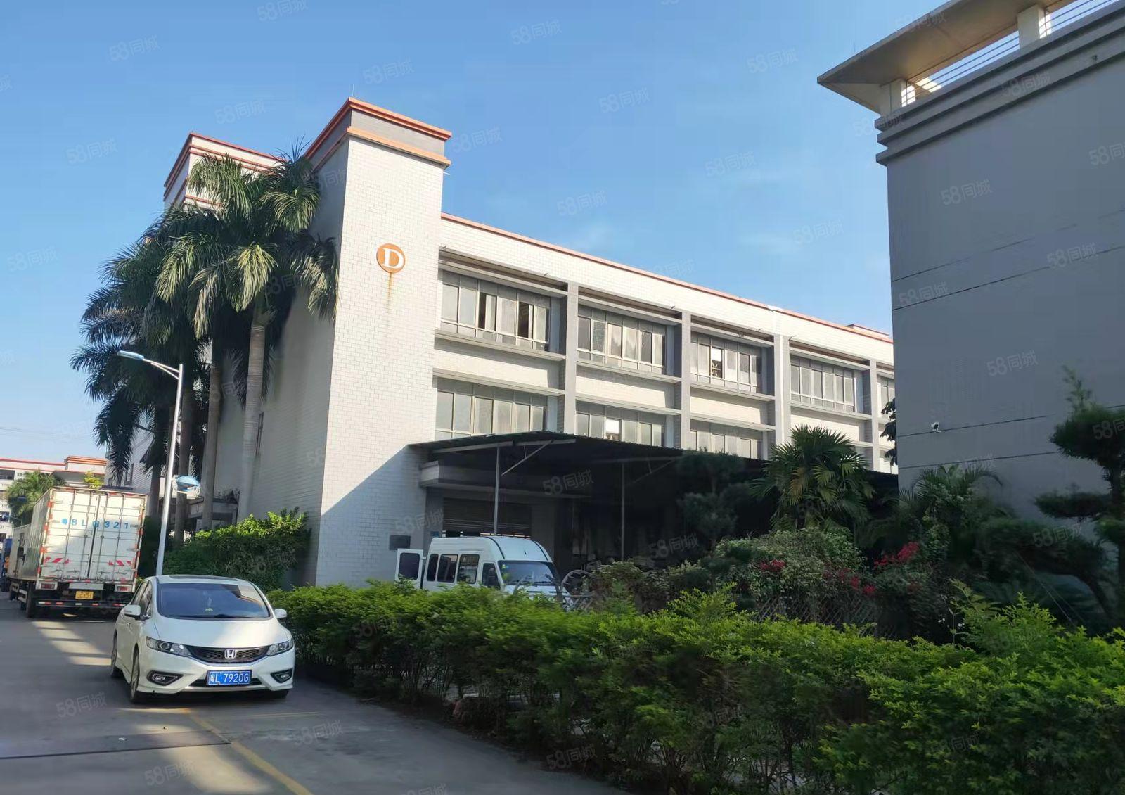 罗阳镇原房东标准楼房加砖墙钢构单一层招租42580平方无公摊