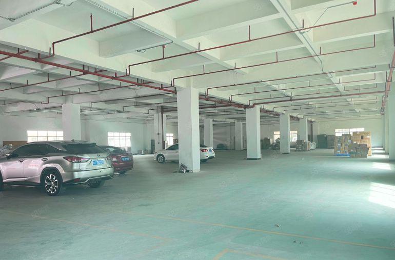 （原房东独院）园洲9块每平独院厂房