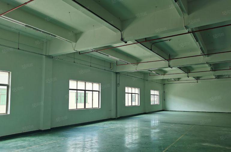 价格优惠一手房东自建标准厂房，消防配套设施齐全，有货梯