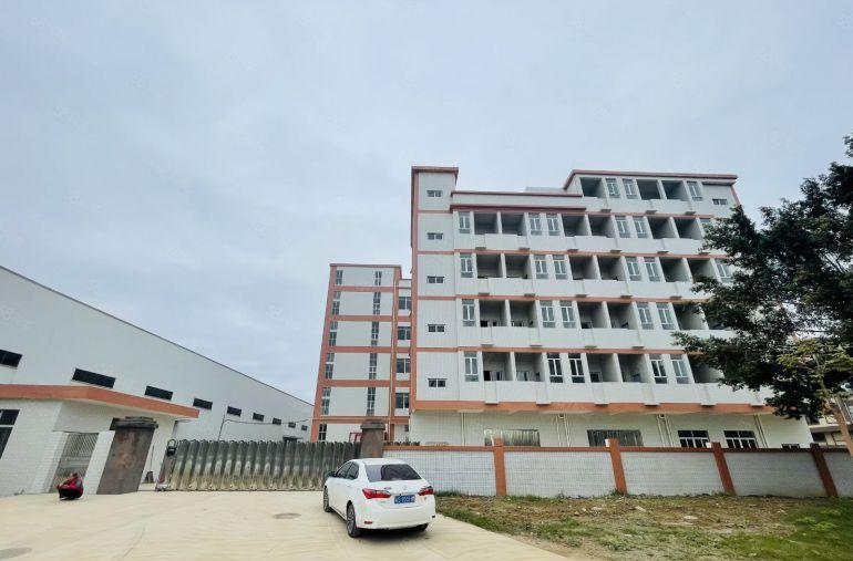 石湾新建红本独立厂房 原房东直租 配套齐全 带员工公寓