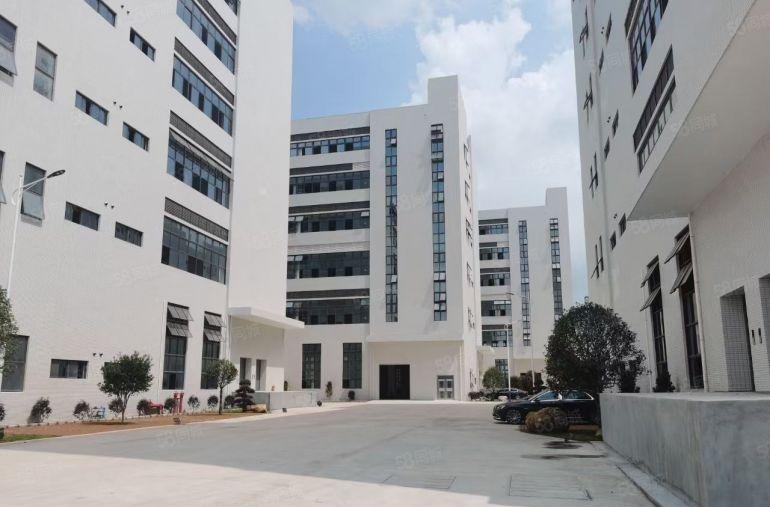 石湾高新开发区厂房低价出租10000平，大小可分高速出口附近