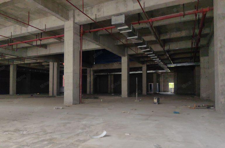 南北通透厂房出租 带空地价格优惠一手原房东