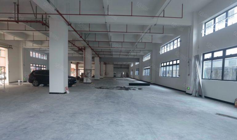 新出！！园洲镇中心位置全新标准厂房独院5500平方低价出租