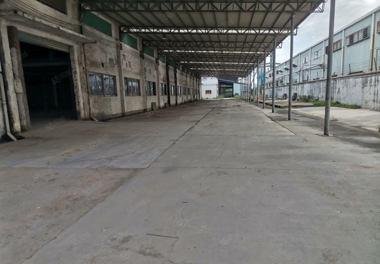 园洲广惠高速口原房东花园式红本钢构厂房40000