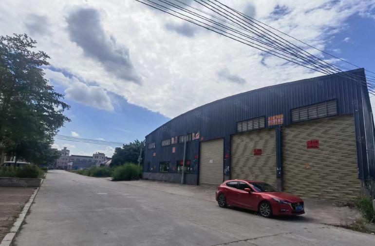 园洲镇九潭新出原房东滴水8米单一层